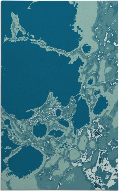 decay rug - item 1298224