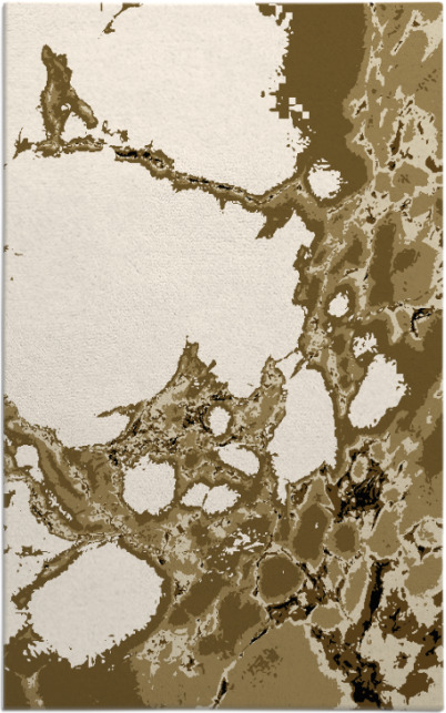 decay rug - item 1298231