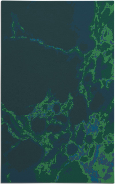 decay rug - item 1298236