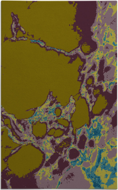 decay rug - item 1298248