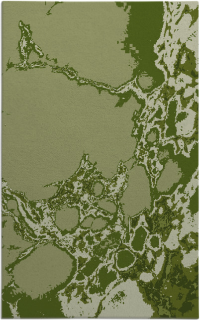 decay rug - item 1298301