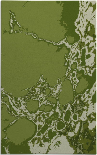 decay rug - item 1298302