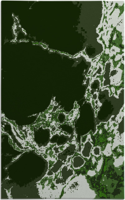 decay rug - item 1298316