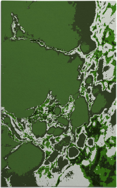 decay rug - item 1298317