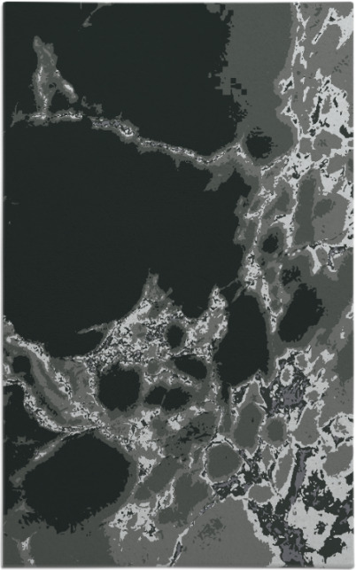 decay rug - item 1298320