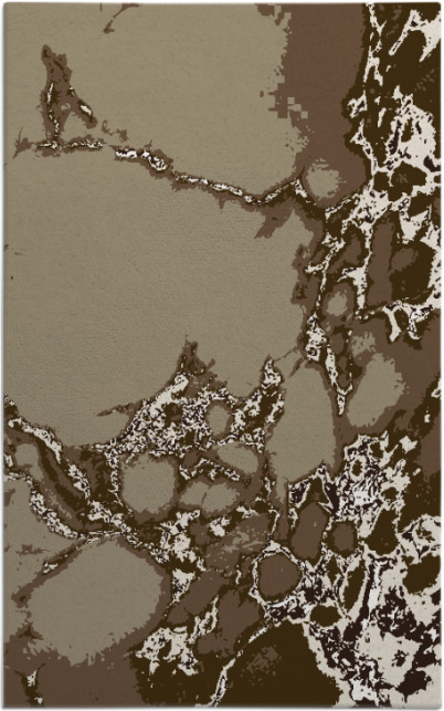 decay rug - item 1298335