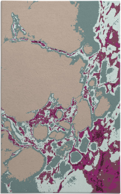 decay rug - item 1298339