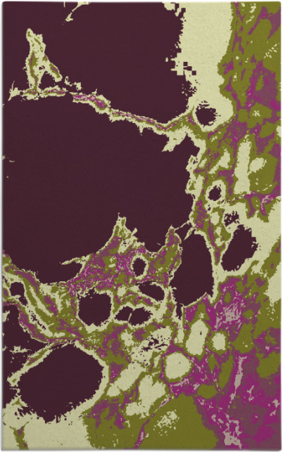 decay rug - item 1298348