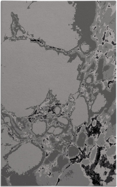 decay rug - item 1298353