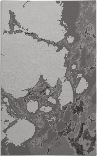 decay rug - item 1298367