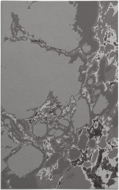 decay rug - item 1298369