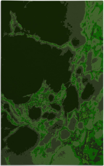 decay rug - item 1298382