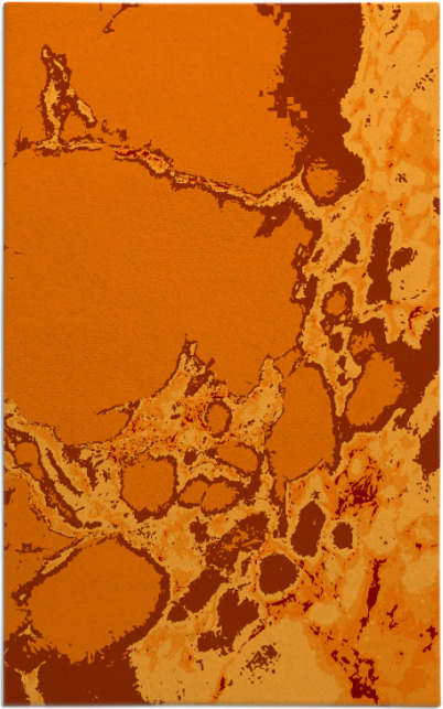 decay rug - item 1298383