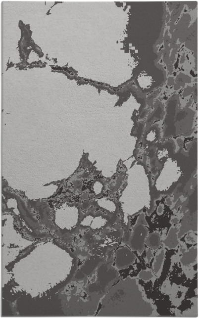 decay rug - item 1298396