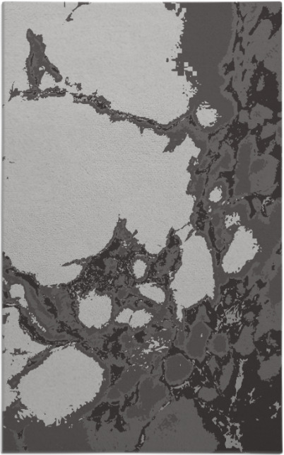 decay rug - item 1298398