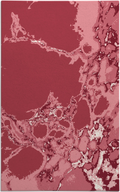 decay rug - item 1298405