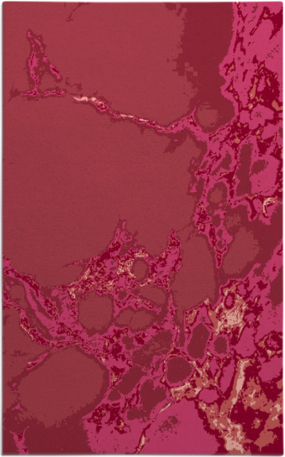 decay rug - item 1298407