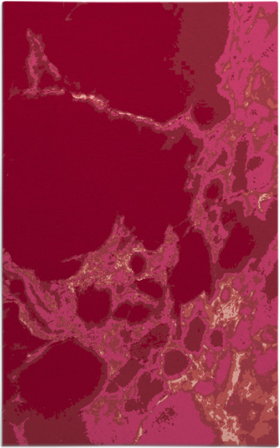 decay rug - item 1298409