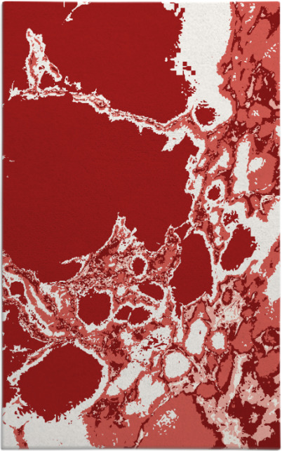 decay rug - item 1298439