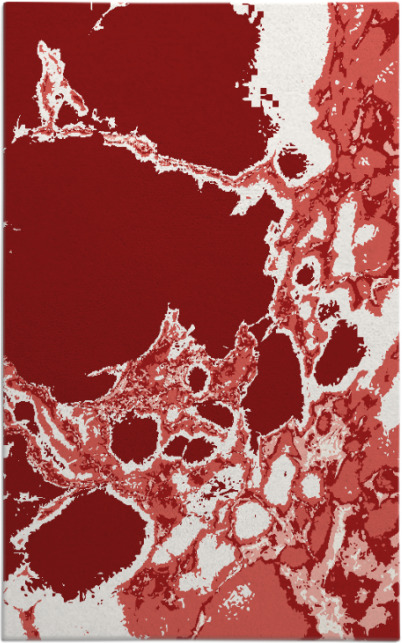 decay rug - item 1298441