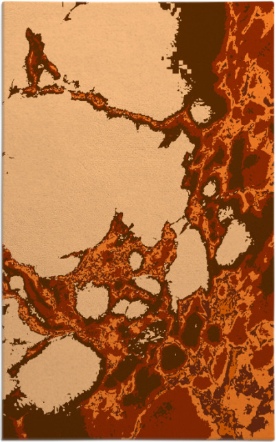 decay rug - item 1298452