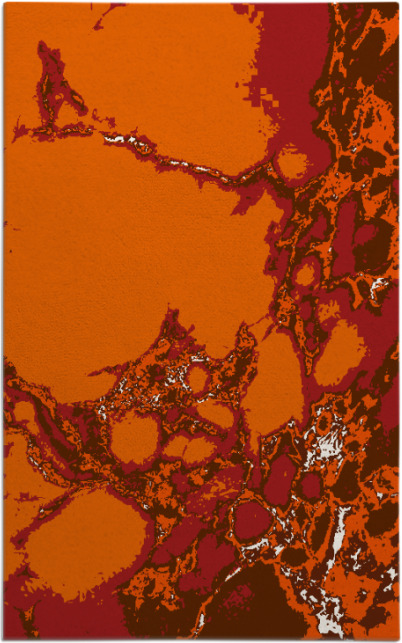 decay rug - item 1298460