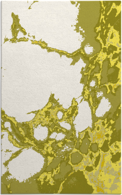 decay rug - item 1298467