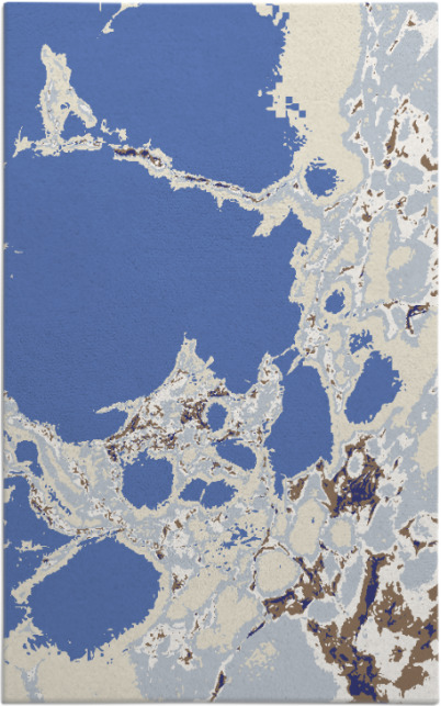 decay rug - item 1298473