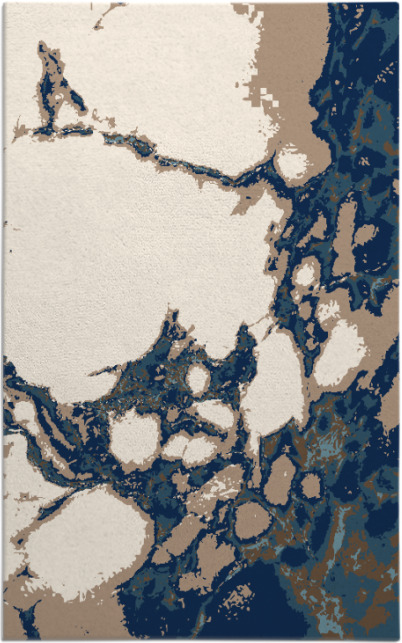 decay rug - item 1298483