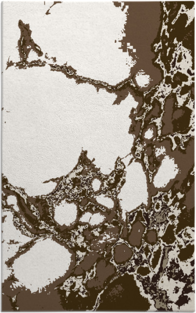 decay rug - item 1298487