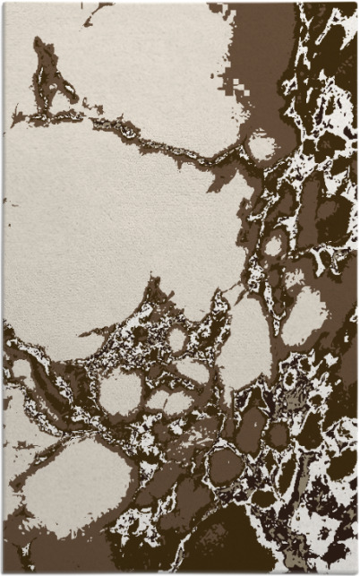 decay rug - item 1298489