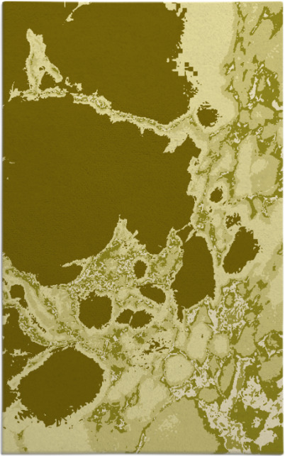 decay rug - item 1298511