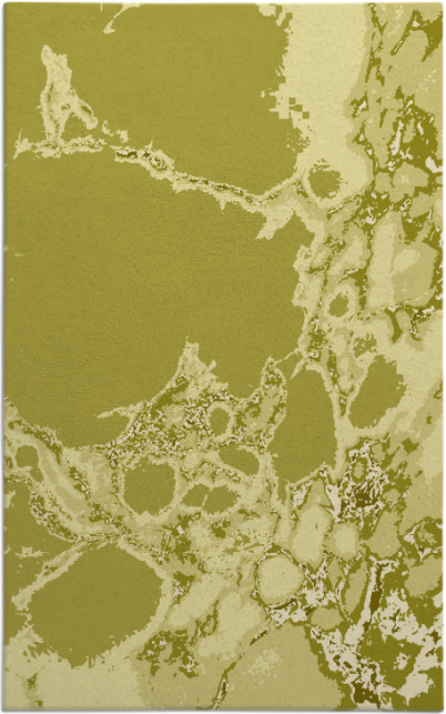 decay rug - item 1298512