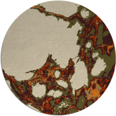 decay rug - item 1298539