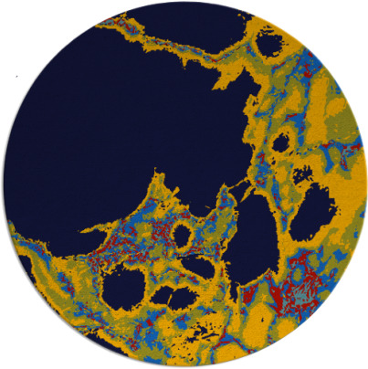 decay rug - item 1298574