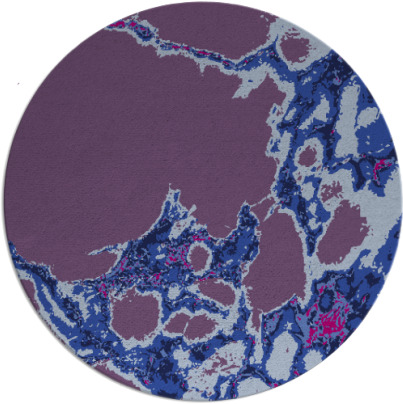 decay rug - item 1298577