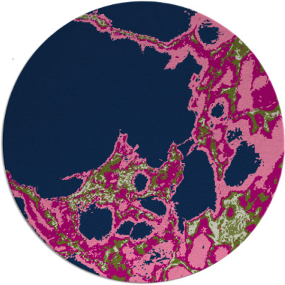 decay rug - item 1298583