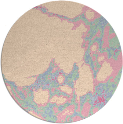 decay rug - item 1298607