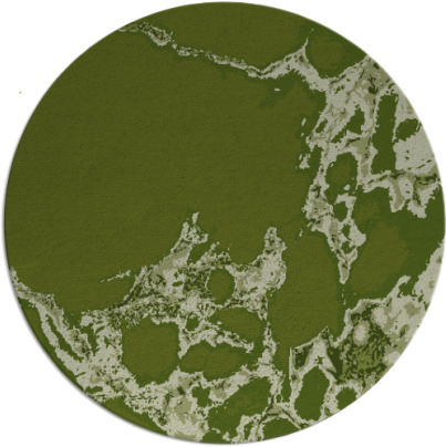 decay rug - item 1298667