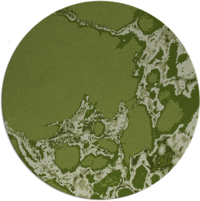 decay rug - item 1298668