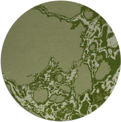 decay rug - item 1298669