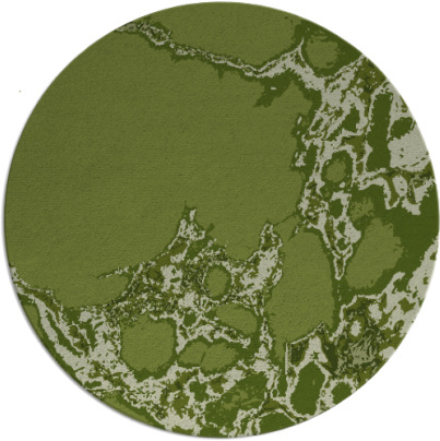 decay rug - item 1298670