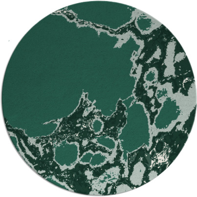 decay rug - item 1298675