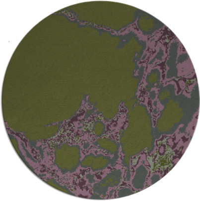 decay rug - item 1298679