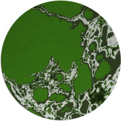 decay rug - item 1298683