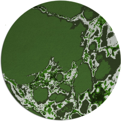 decay rug - item 1298685