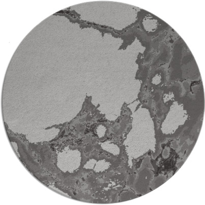 decay rug - item 1298735