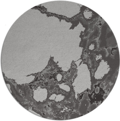 decay rug - item 1298764