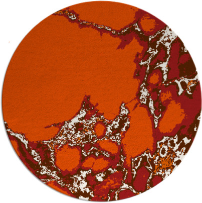 decay rug - item 1298829