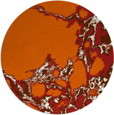 decay rug - item 1298830